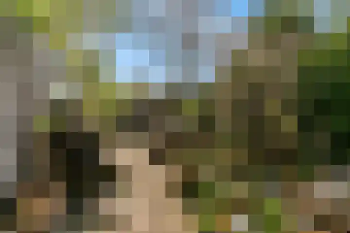 van Rietlaan 4 Linschoten thumbnail 40