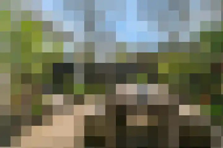 van Rietlaan 4 Linschoten thumbnail 41