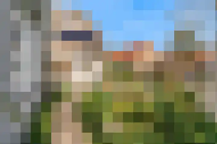 van Rietlaan 4 Linschoten thumbnail 43