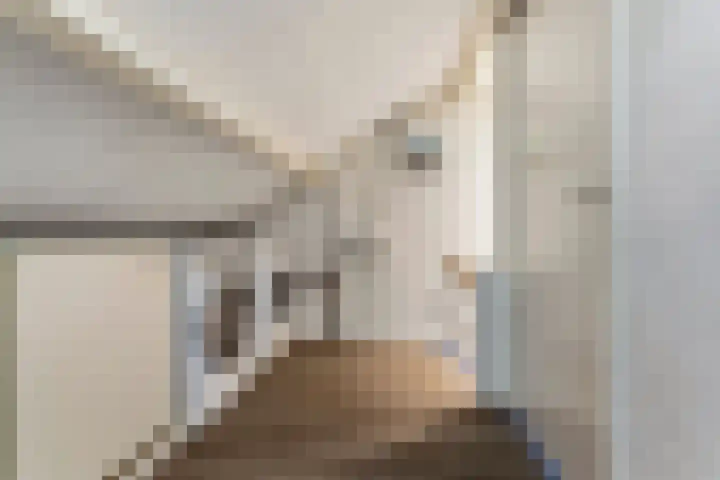 Van Rijckevorsel van Kessellaan 11 Sint-Oedenrode thumbnail 35