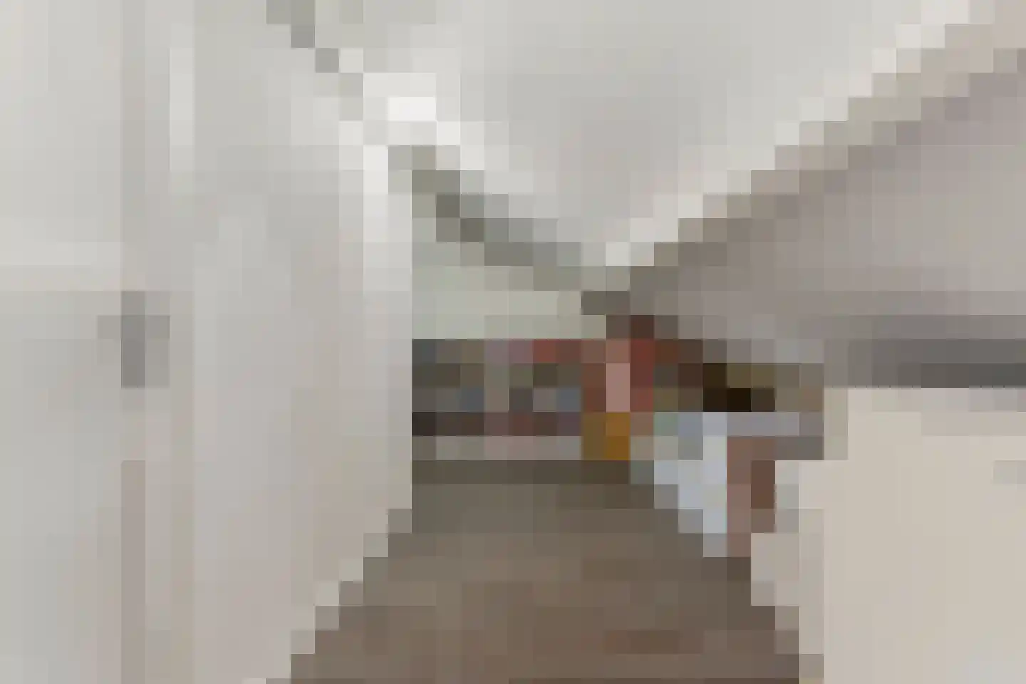 Van Rijckevorsel van Kessellaan 11 Sint-Oedenrode thumbnail 36