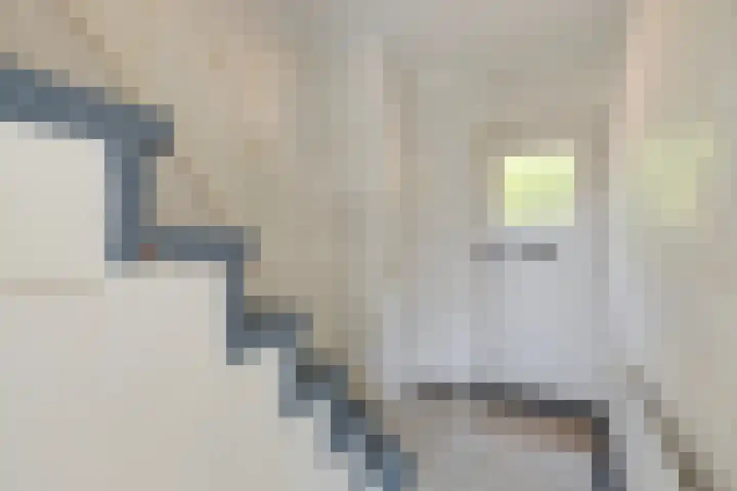 van Rijckevorsel van Kessellaan 22 's-Hertogenbosch thumbnail 26
