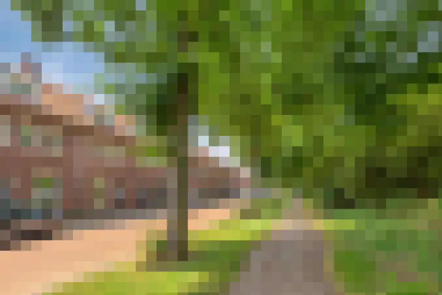 van Rijckevorsel van Kessellaan 22 's-Hertogenbosch thumbnail 27
