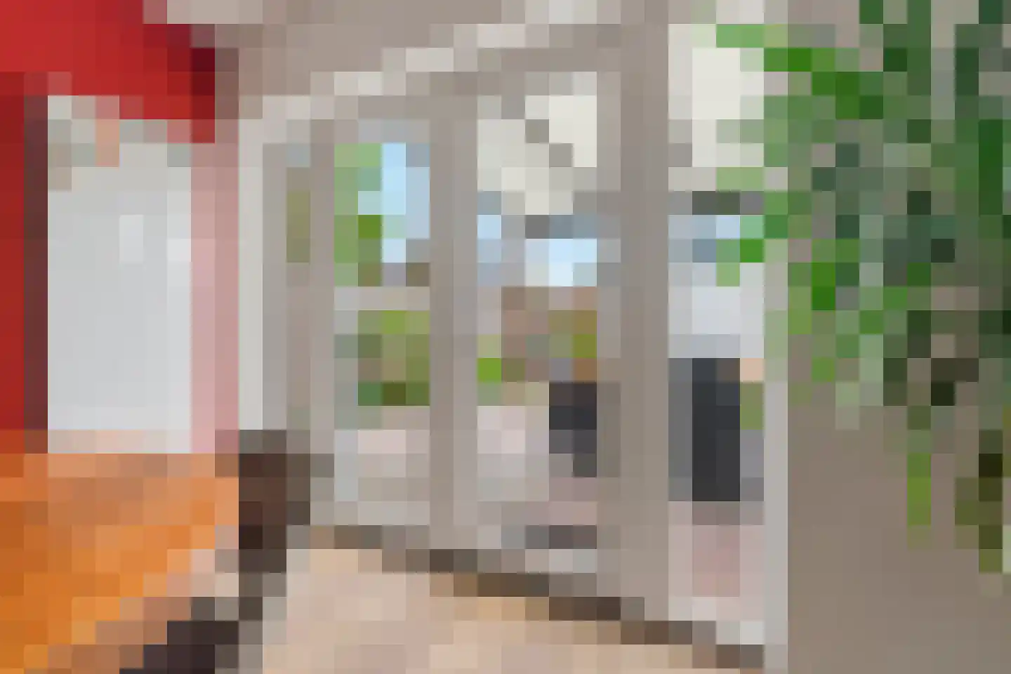 Van Rijckevorsel van Kessellaan 3 Sint-Oedenrode thumbnail 16
