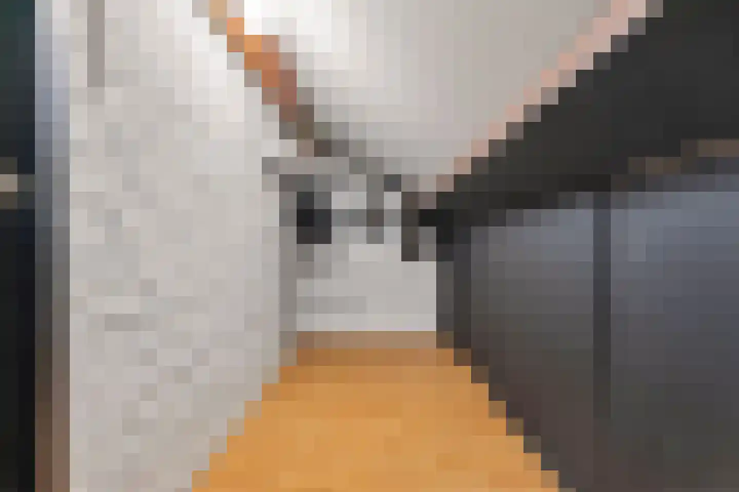 Van Rijckevorsel van Kessellaan 3 Sint-Oedenrode thumbnail 36