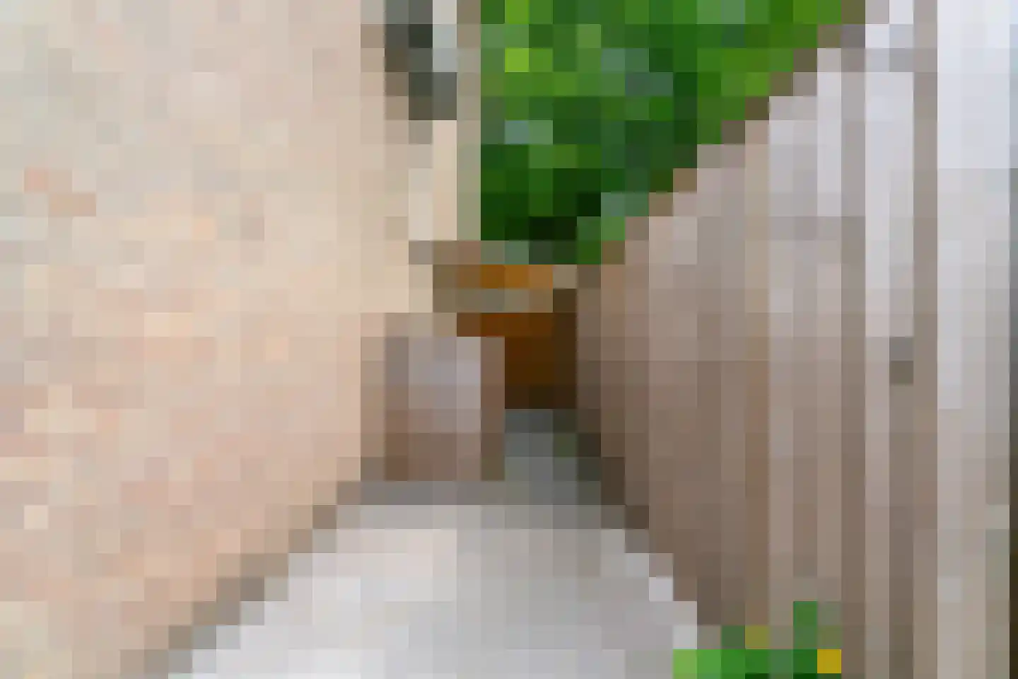 Van Rijckevorsel van Kessellaan 3 Sint-Oedenrode thumbnail 47