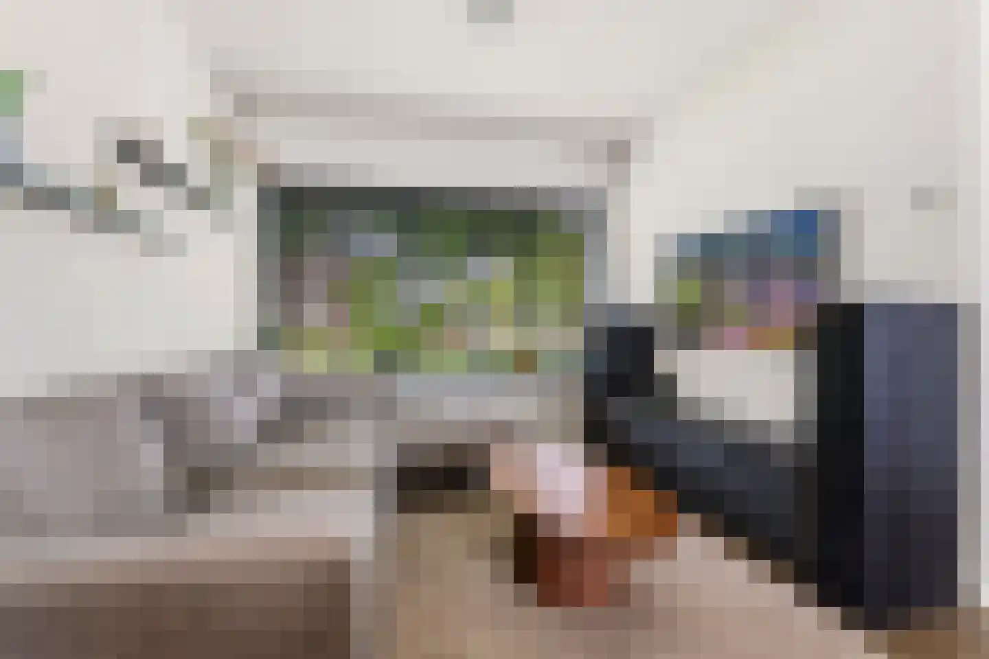 Van Rijckevorsel van Kessellaan 3 Sint-Oedenrode thumbnail 5