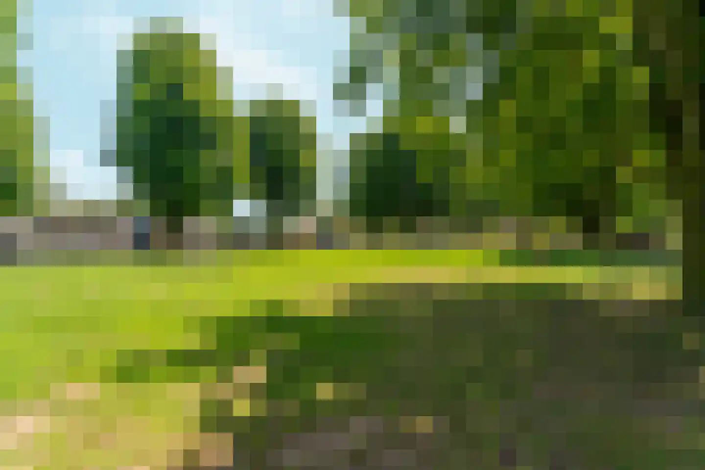 Van Rijckevorsel van Kessellaan 3 Sint-Oedenrode thumbnail 54