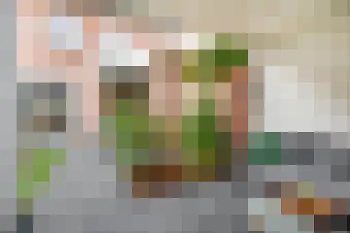 Van Rijckevorsel van Kessellaan 30 Sint-Oedenrode thumbnail 32