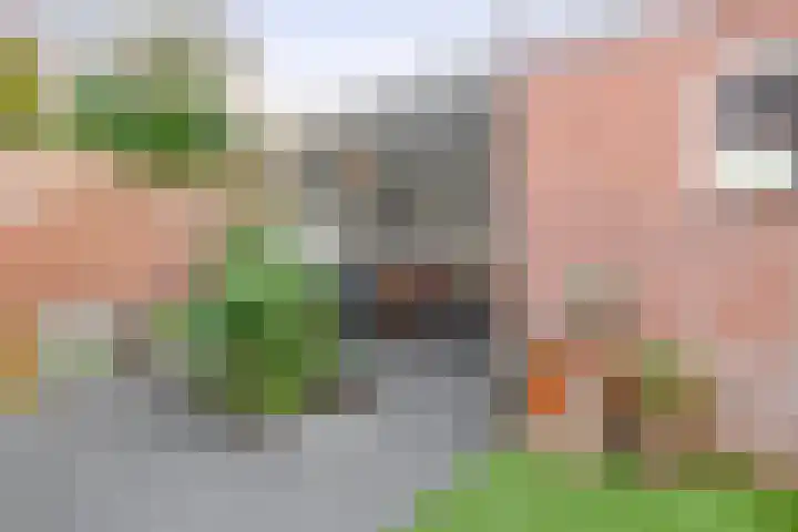 Van Rijckevorsel van Kessellaan 30 Sint-Oedenrode thumbnail 33
