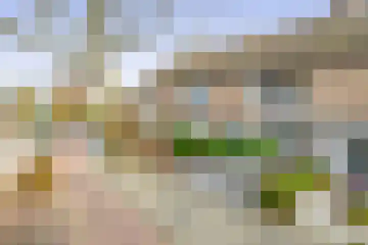 Van Rijckevorsel van Kessellaan 30 Sint-Oedenrode thumbnail 36