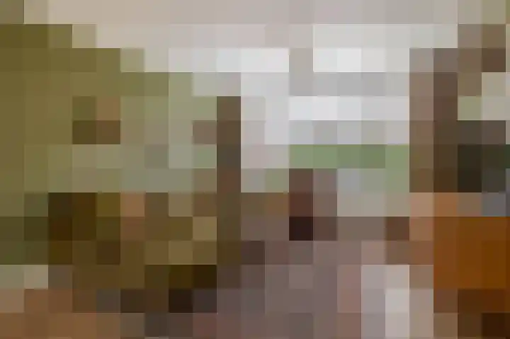 Van Rijckevorsel van Kessellaan 30 Sint-Oedenrode thumbnail 6