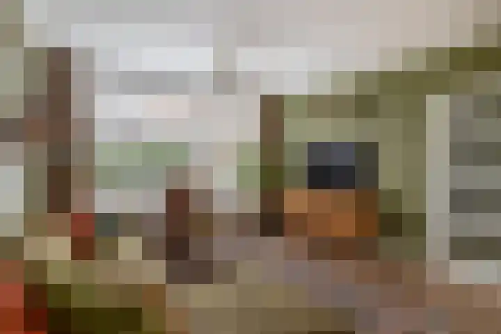 Van Rijckevorsel van Kessellaan 30 Sint-Oedenrode thumbnail 7