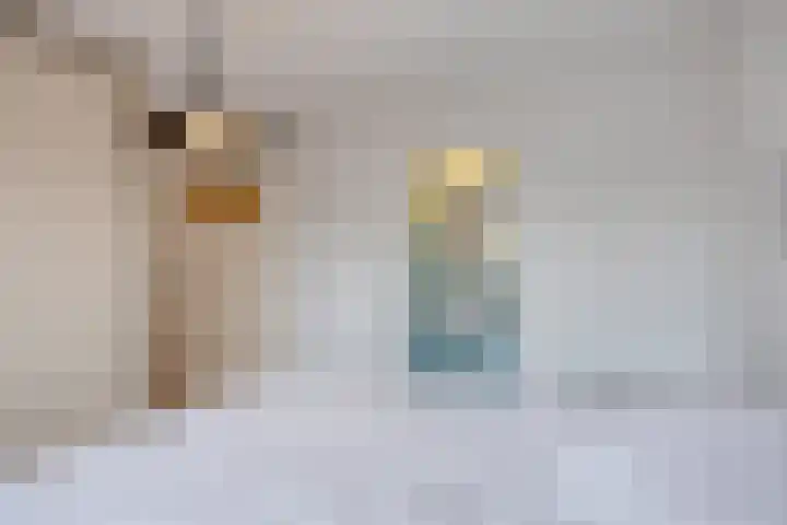 van Rijckevorsel van Kessellaan 41 's-Hertogenbosch thumbnail 17