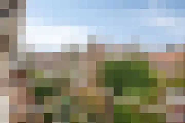 van Rijckevorsel van Kessellaan 41 's-Hertogenbosch thumbnail 21