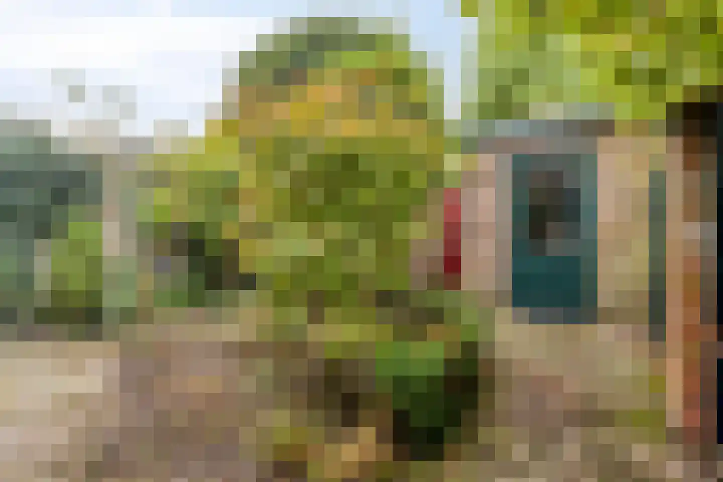 van Rijckevorsel van Kessellaan 41 's-Hertogenbosch thumbnail 23