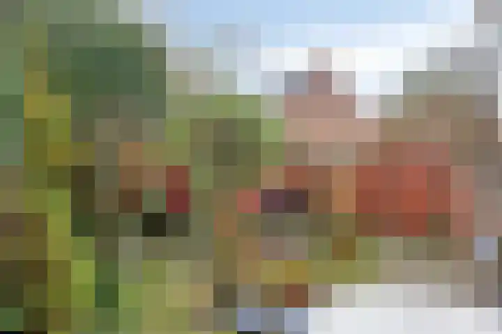 van Rijckevorsel van Kessellaan 41 's-Hertogenbosch thumbnail 28