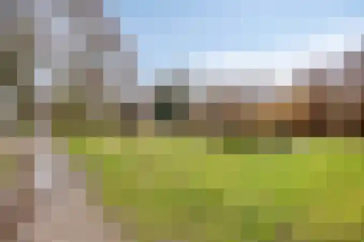 van Rijckevorsel van Kessellaan 41 's-Hertogenbosch thumbnail 36