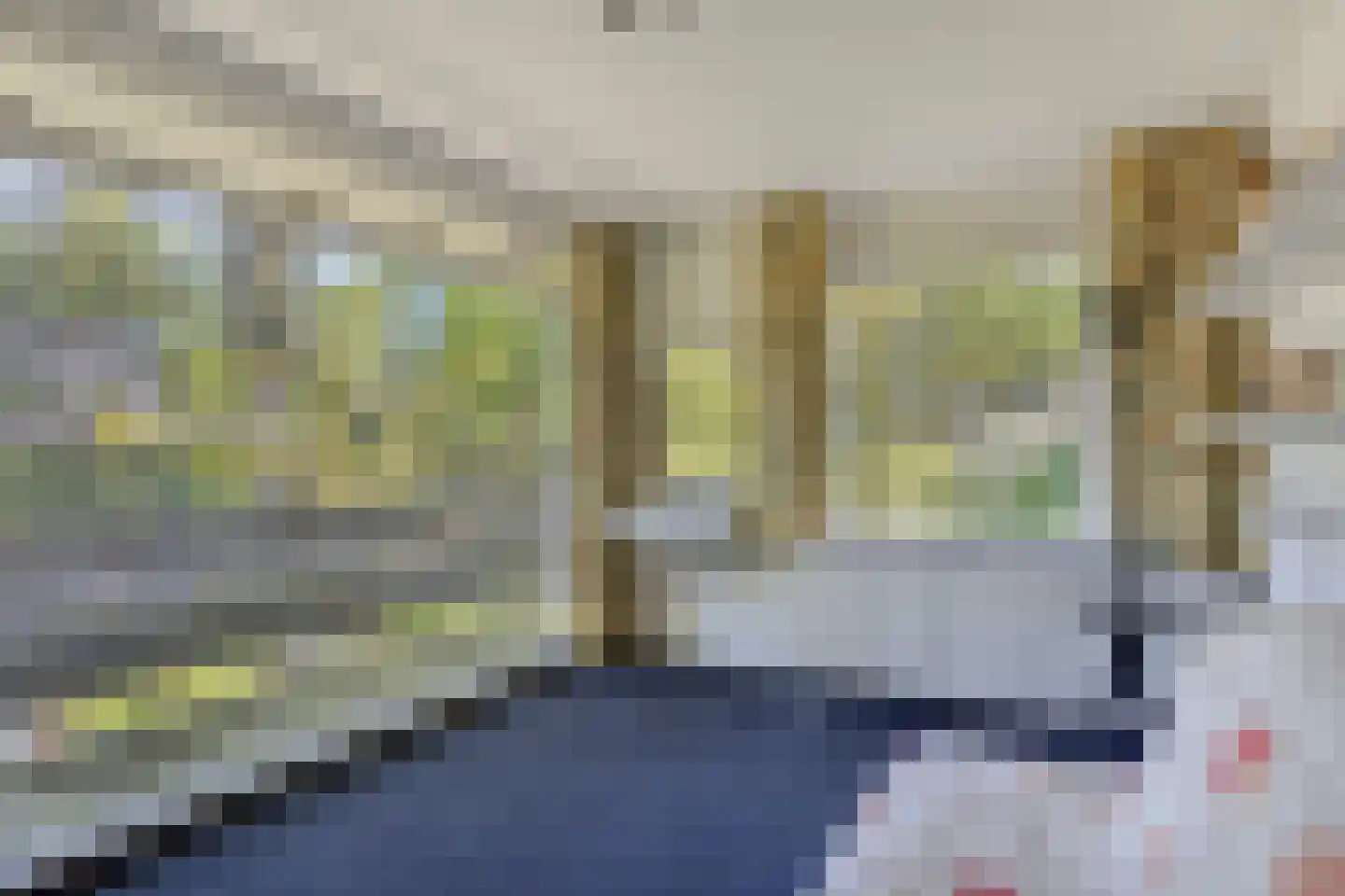 van Rijckevorsellaan 23 Moergestel thumbnail 11