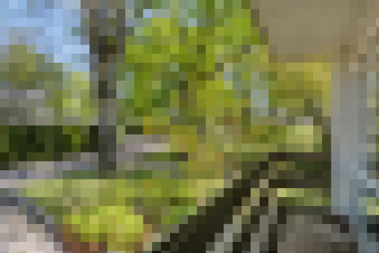van Rijckevorsellaan 23 Moergestel thumbnail 12