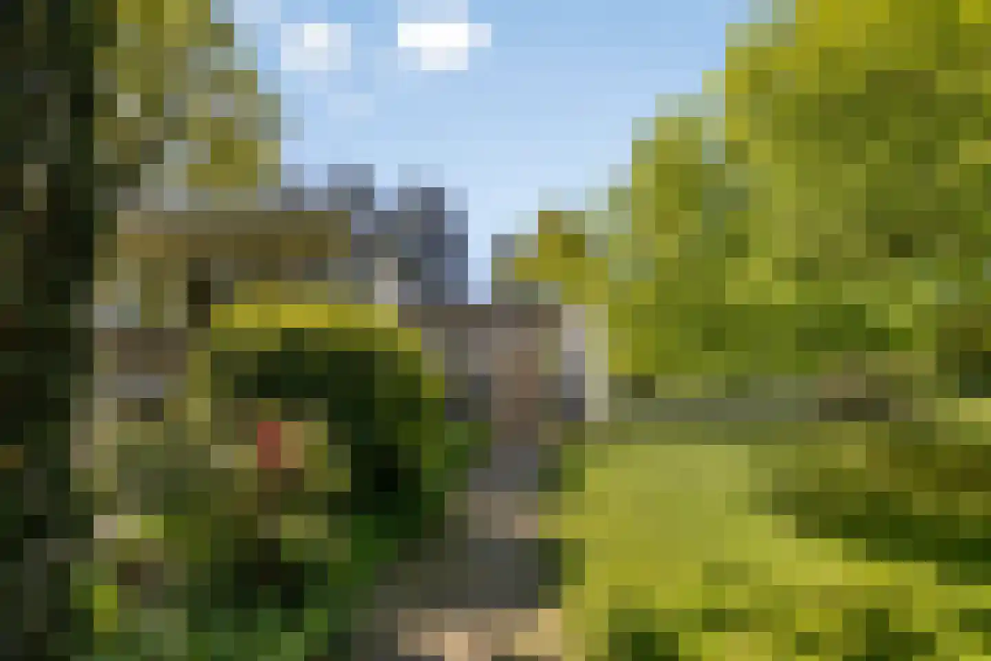 van Rijckevorsellaan 23 Moergestel thumbnail 13
