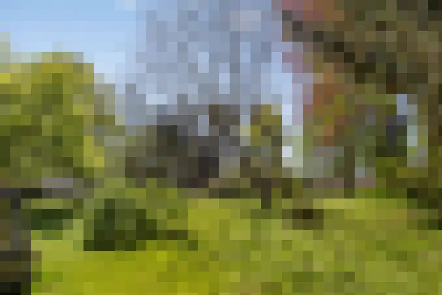 van Rijckevorsellaan 23 Moergestel thumbnail 14