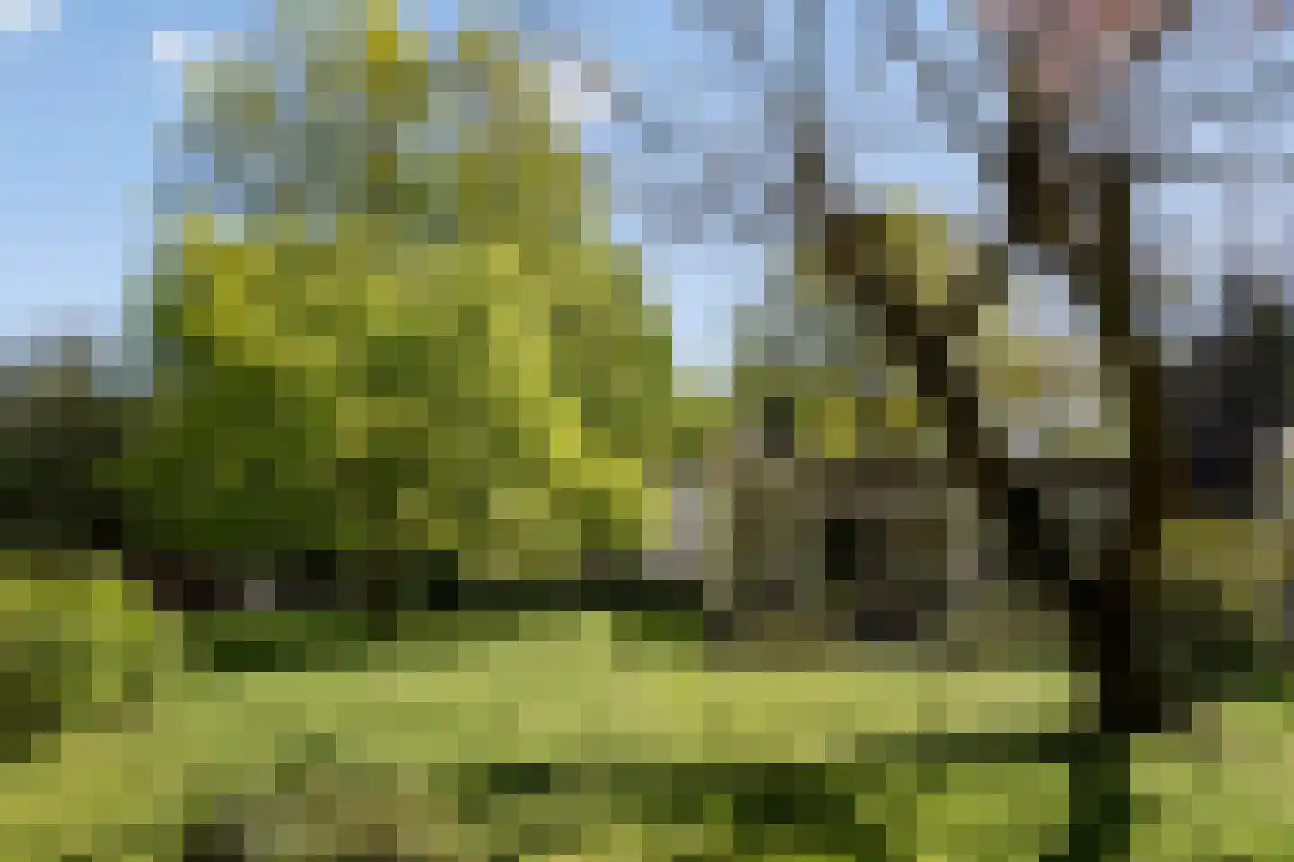 van Rijckevorsellaan 23 Moergestel thumbnail 15