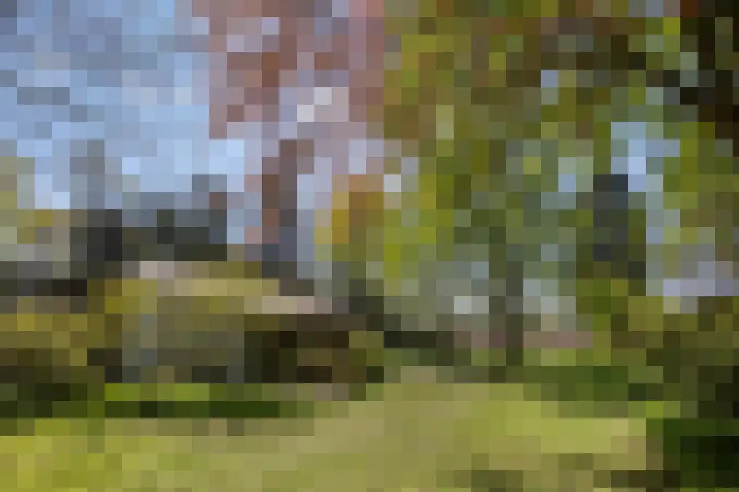 van Rijckevorsellaan 23 Moergestel thumbnail 16