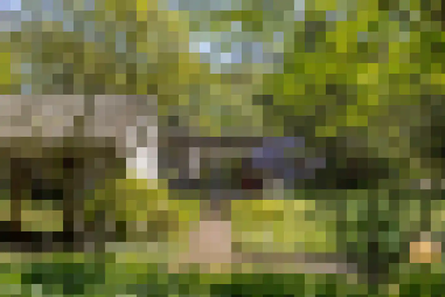 van Rijckevorsellaan 23 Moergestel thumbnail 17