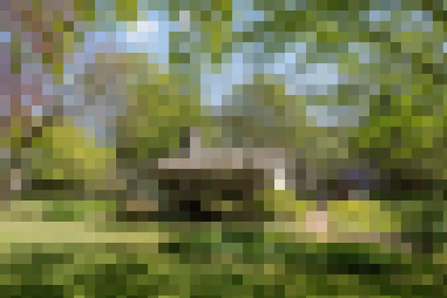 van Rijckevorsellaan 23 Moergestel thumbnail 18