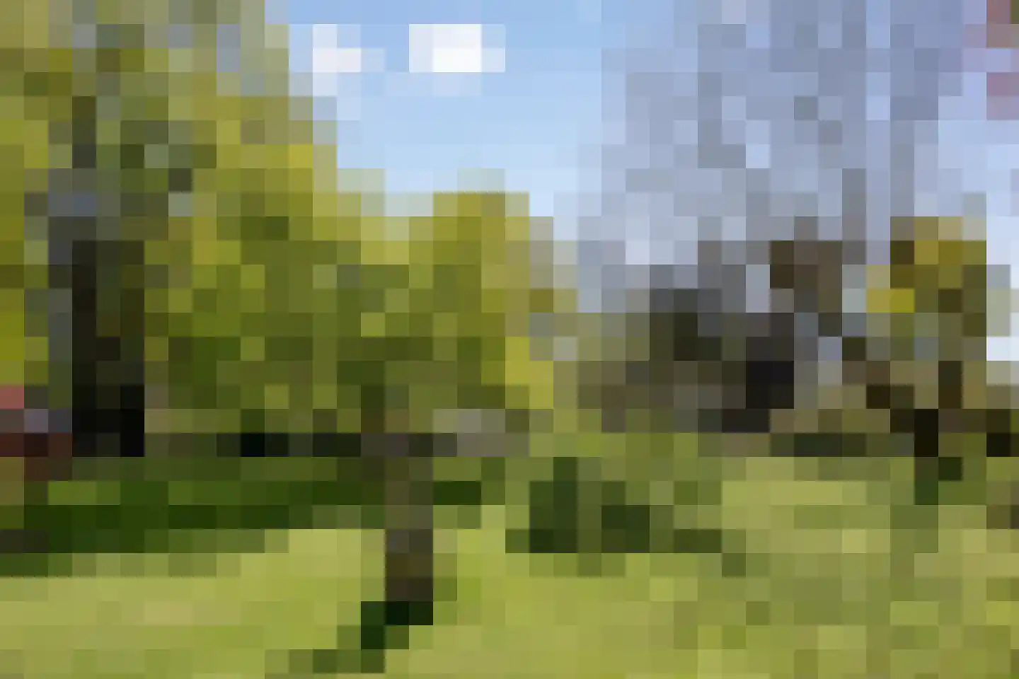 van Rijckevorsellaan 23 Moergestel foto 2