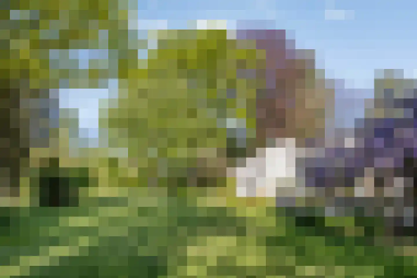 van Rijckevorsellaan 23 Moergestel thumbnail 21