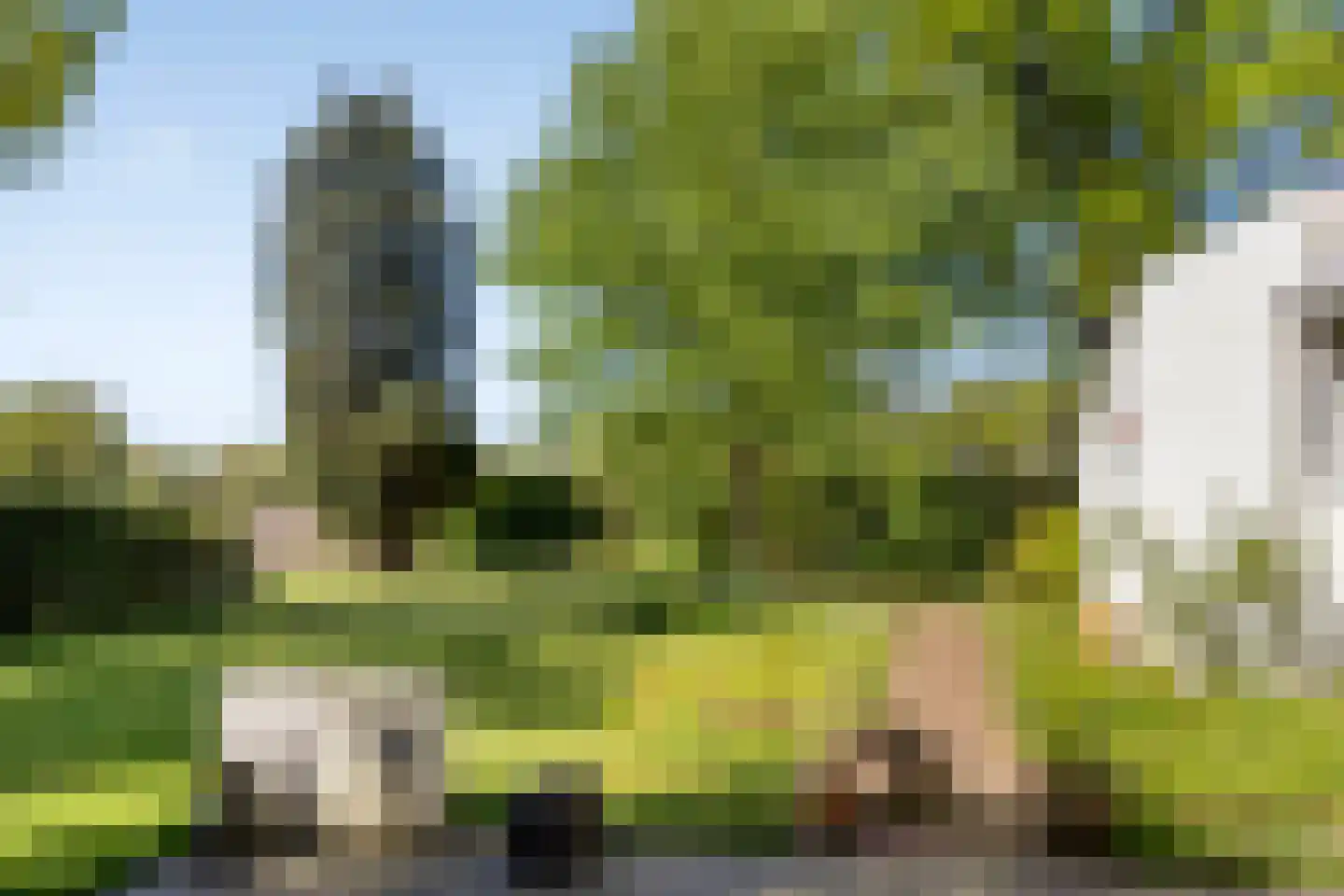 van Rijckevorsellaan 23 Moergestel thumbnail 24