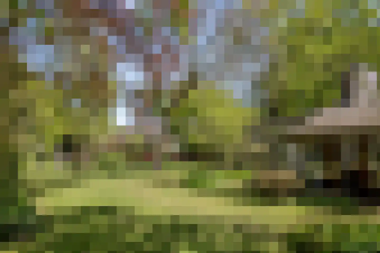 van Rijckevorsellaan 23 Moergestel thumbnail 25