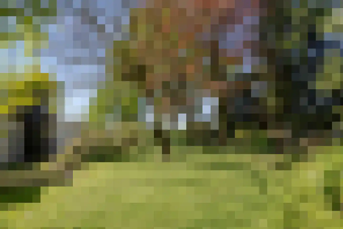 van Rijckevorsellaan 23 Moergestel thumbnail 27
