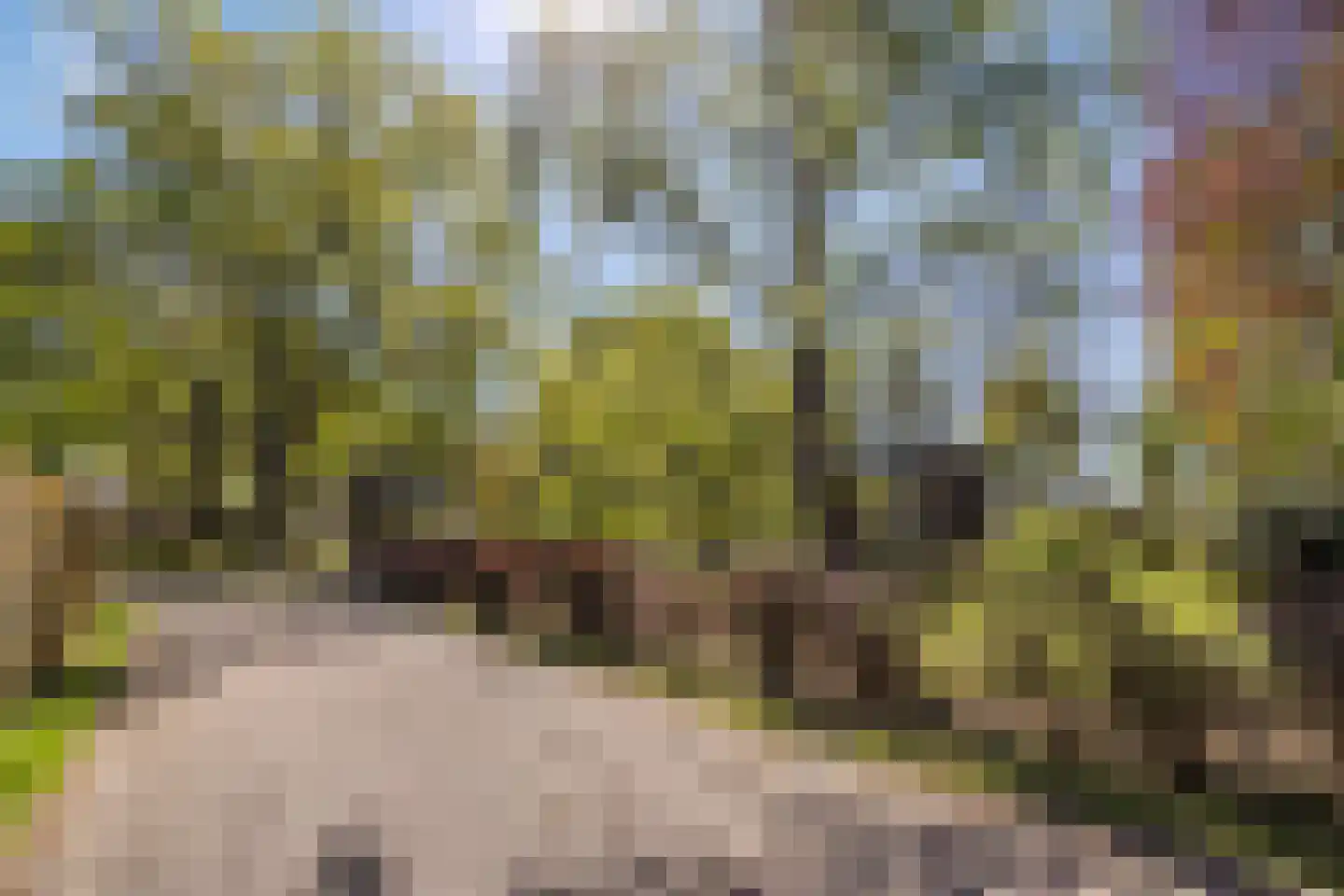van Rijckevorsellaan 23 Moergestel thumbnail 28