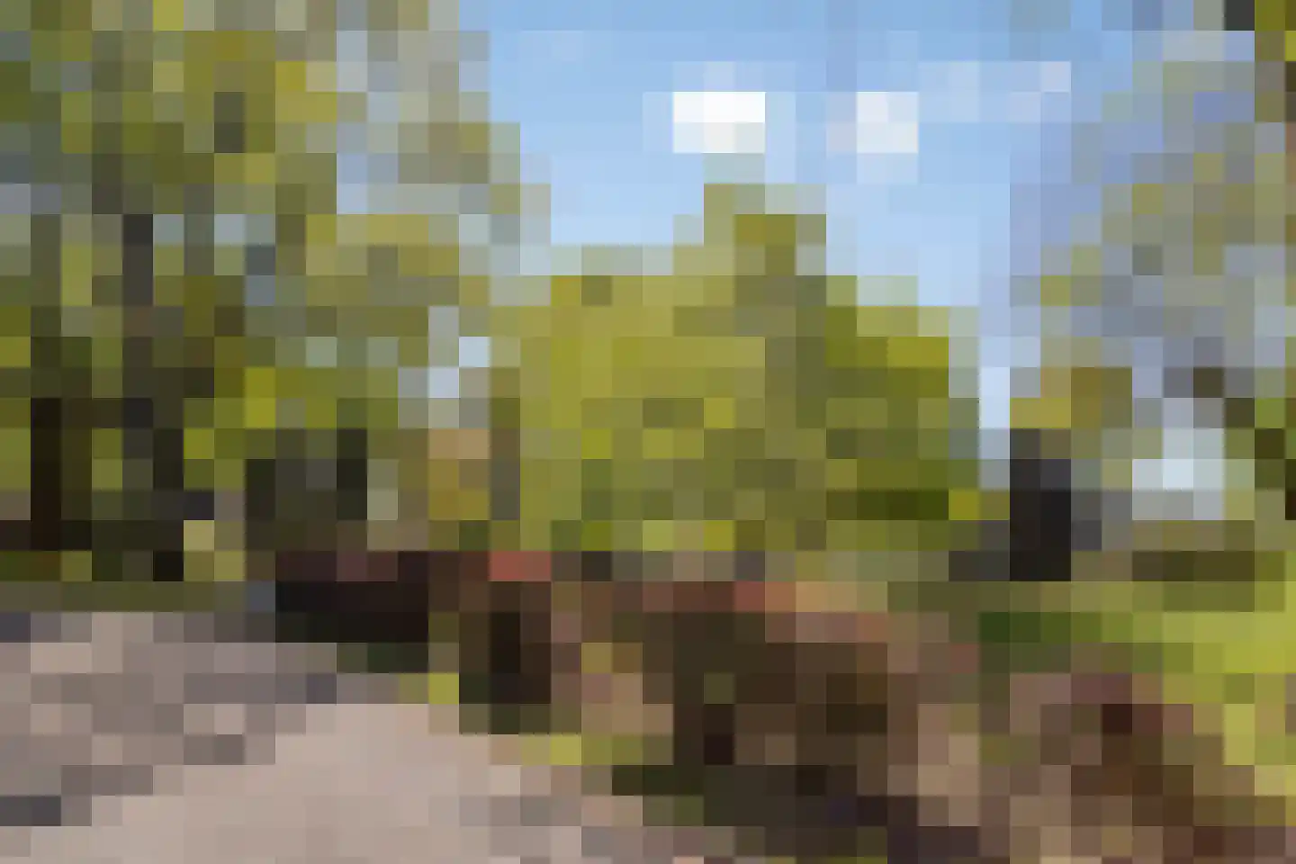 van Rijckevorsellaan 23 Moergestel thumbnail 29