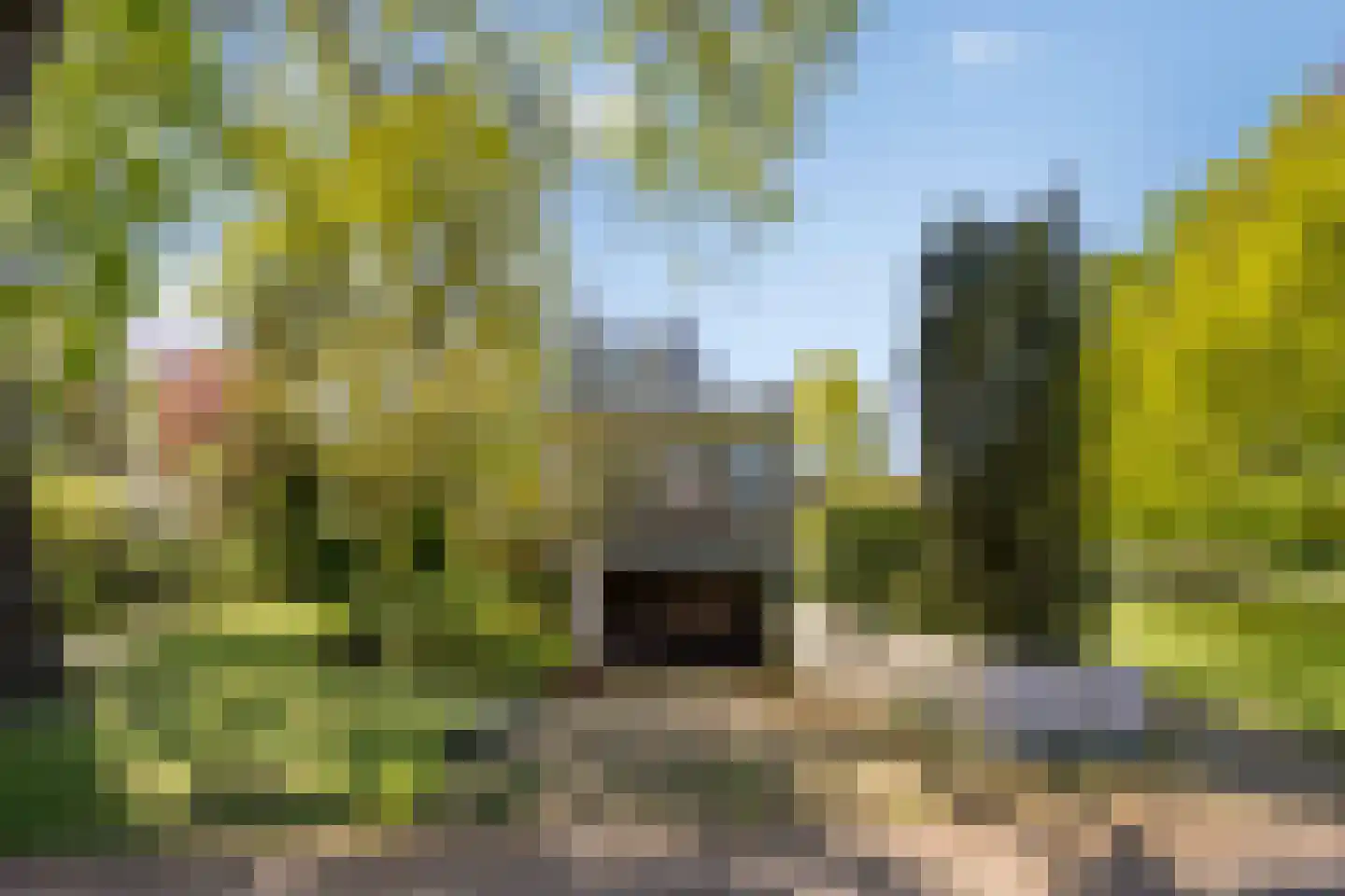 van Rijckevorsellaan 23 Moergestel foto 3