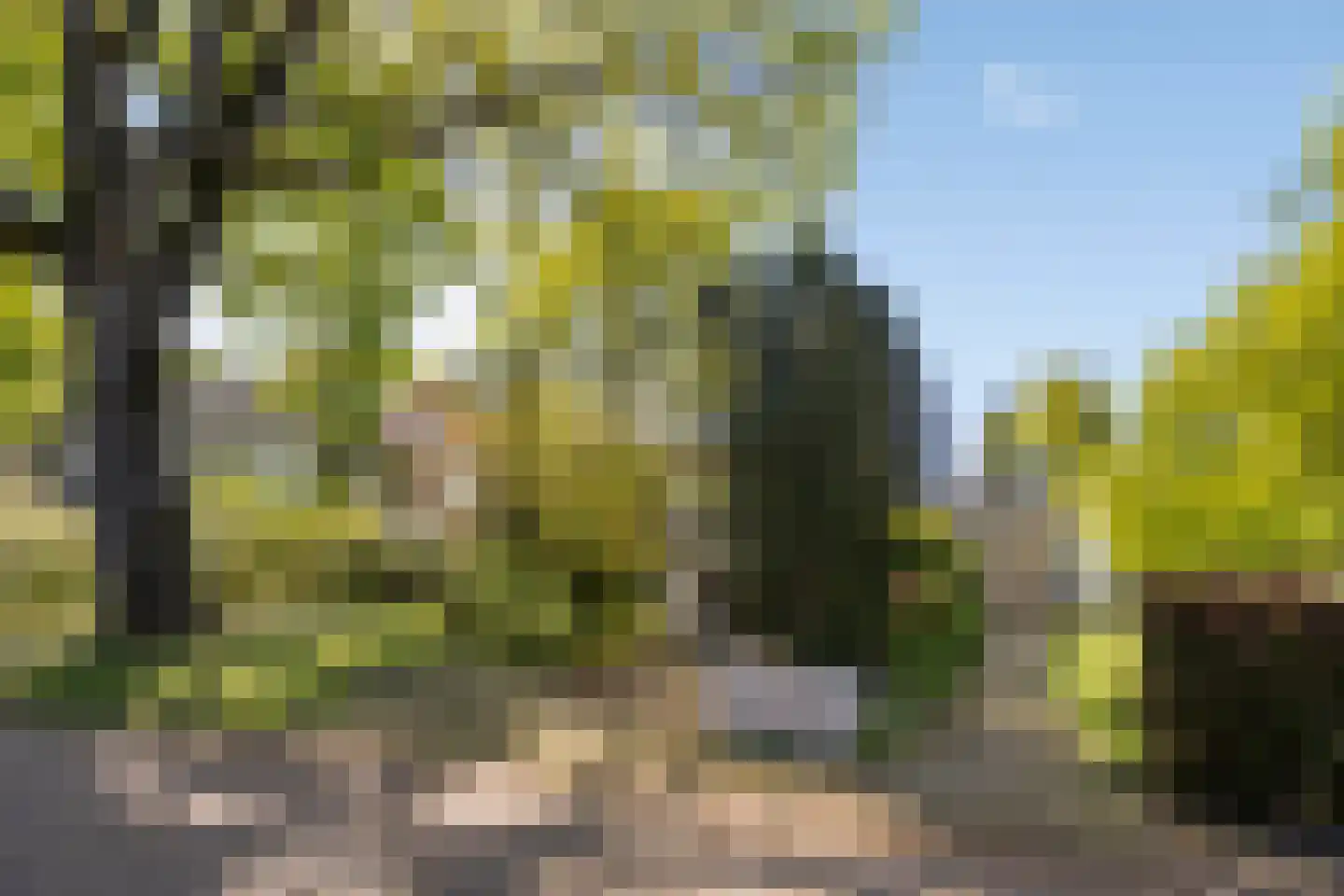 van Rijckevorsellaan 23 Moergestel thumbnail 5