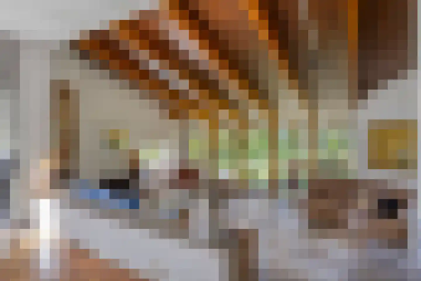 van Rijckevorsellaan 23 Moergestel thumbnail 7