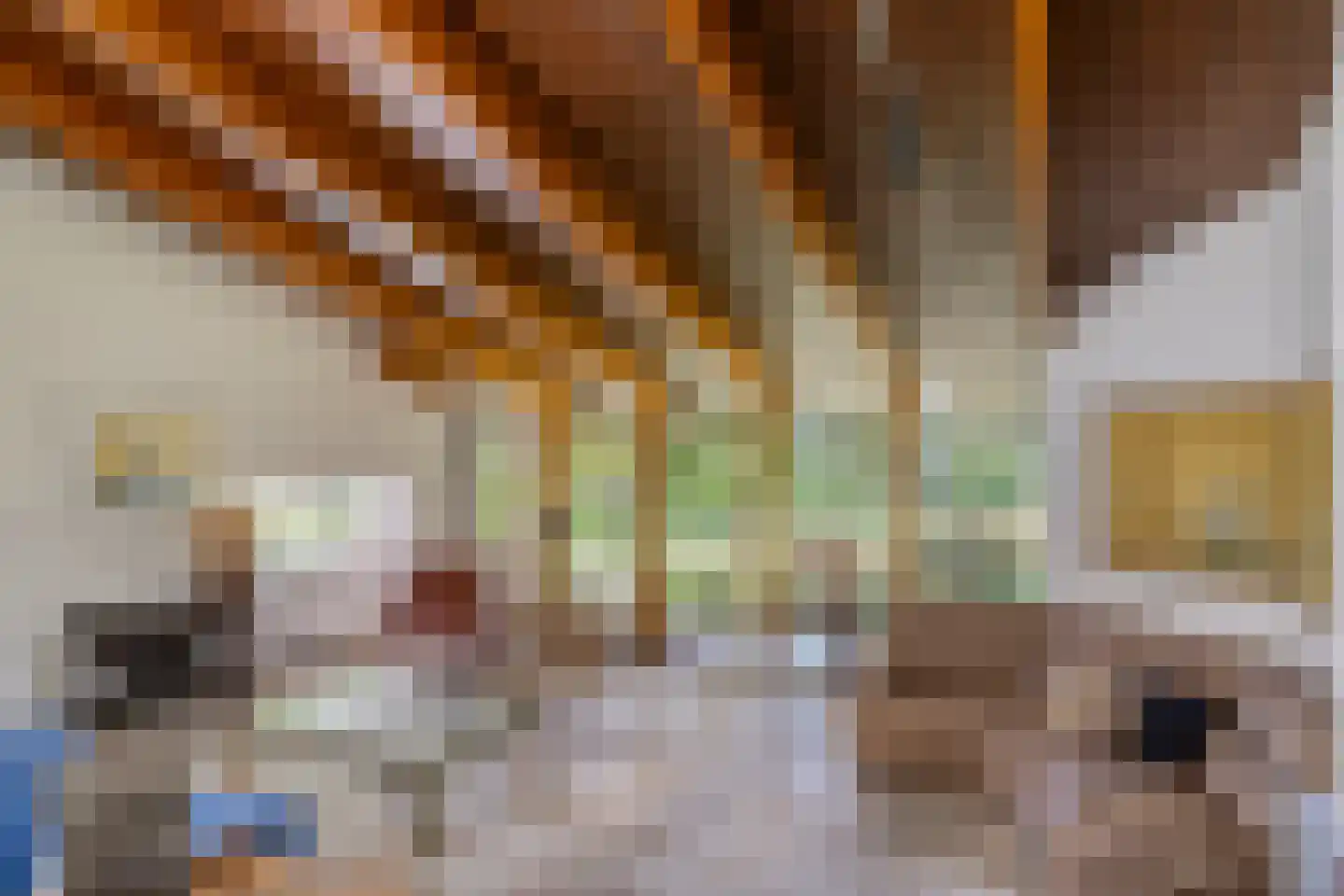 van Rijckevorsellaan 23 Moergestel thumbnail 8
