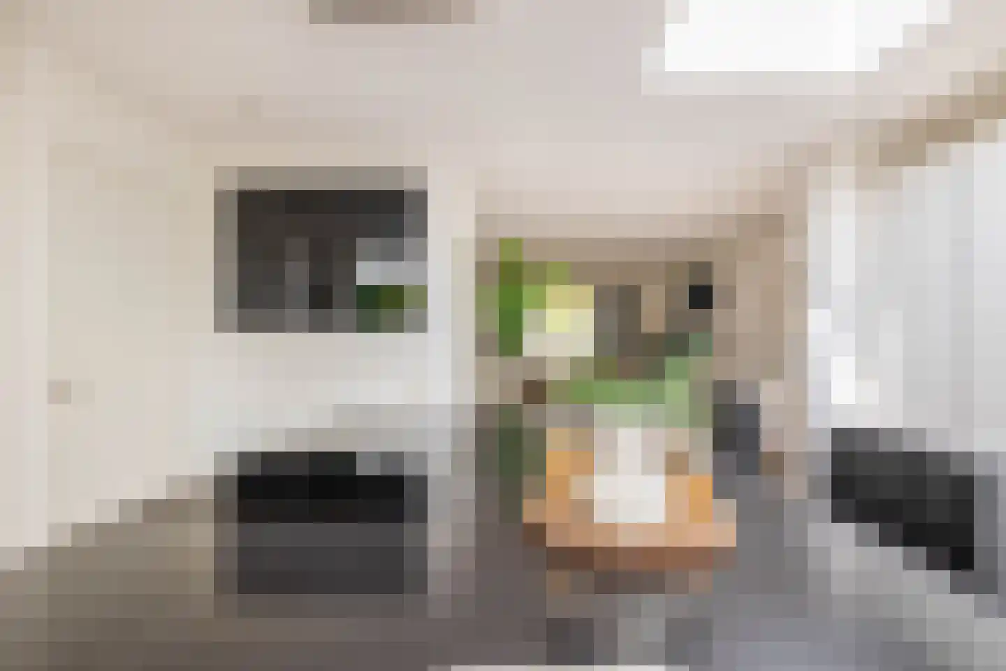 Van Rijckevorsellaan 33 Nuenen thumbnail 22