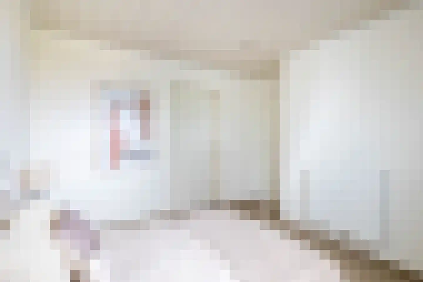 Van Rijckevorsellaan 33 Nuenen thumbnail 27