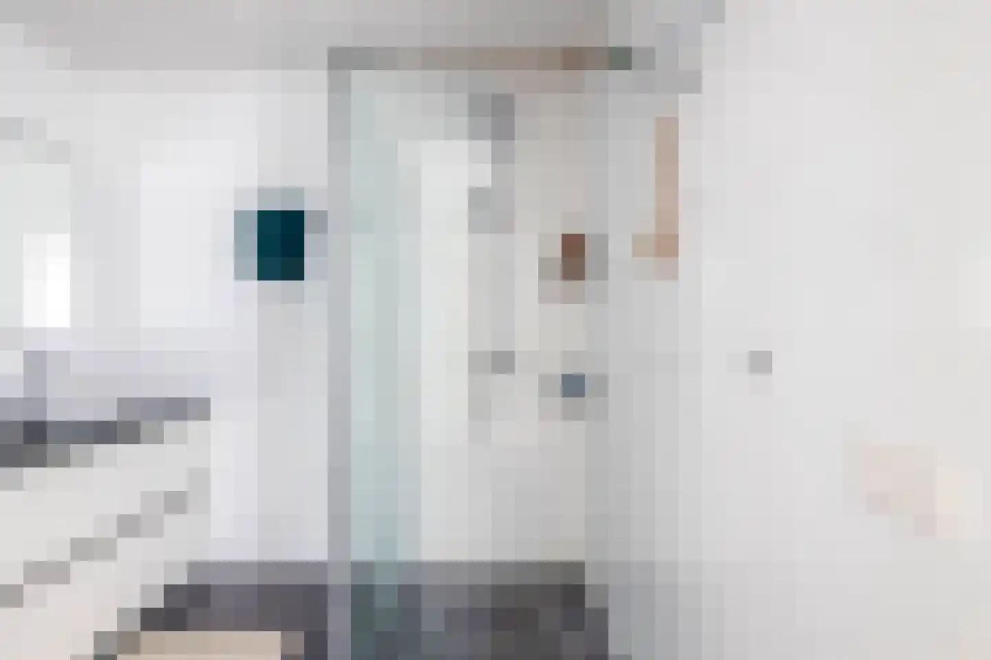 Van Rijckevorsellaan 33 Nuenen thumbnail 28