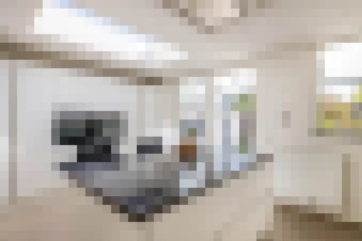 Van Rijckevorsellaan 33 Nuenen foto 3
