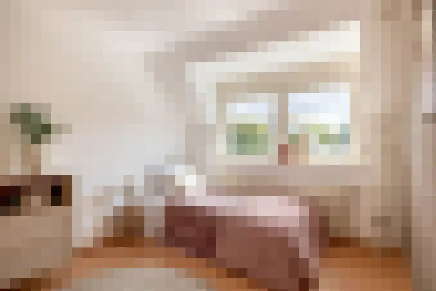 Van Rijckevorsellaan 33 Nuenen thumbnail 34