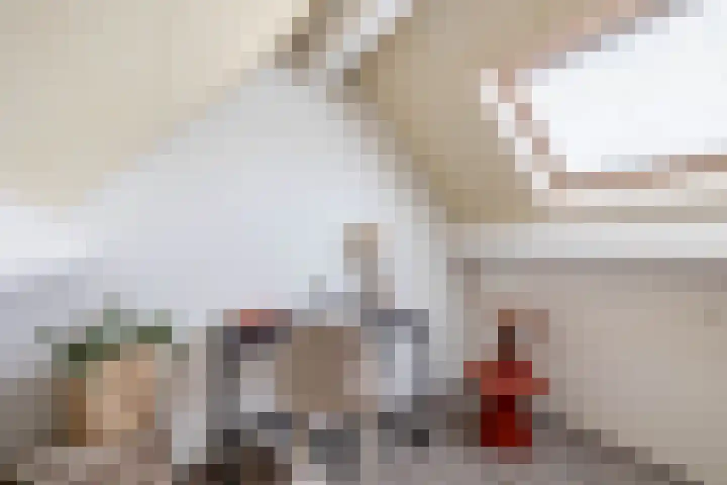Van Rijckevorsellaan 33 Nuenen thumbnail 40
