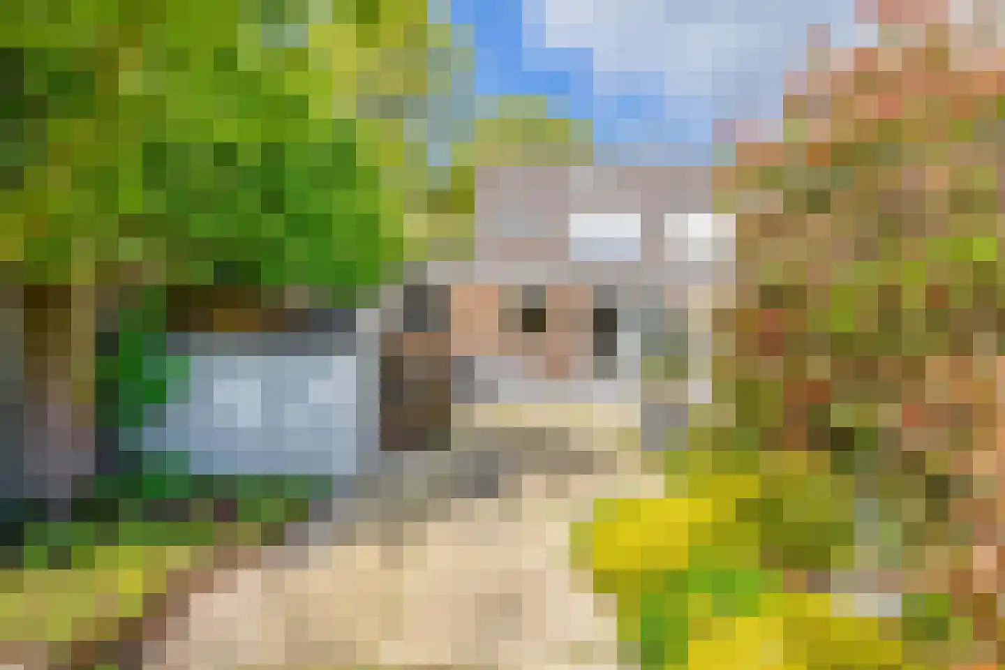 Van Rijckevorsellaan 33 Nuenen thumbnail 46