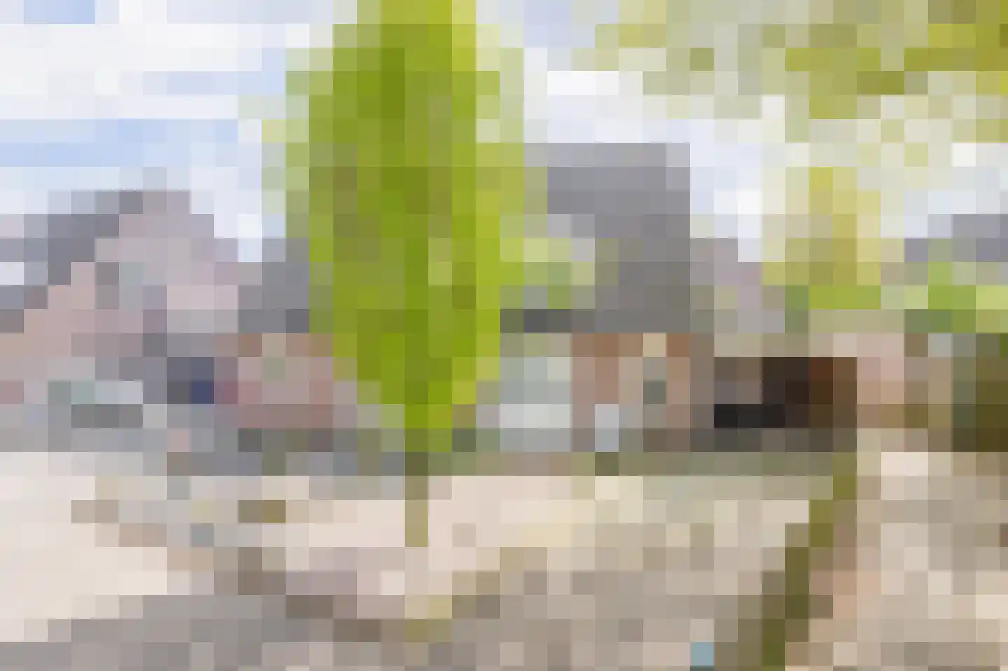 Van Rijckevorsellaan 33 Nuenen thumbnail 5