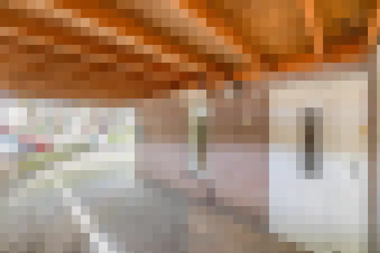 Van Rijckevorsellaan 33 Nuenen thumbnail 8